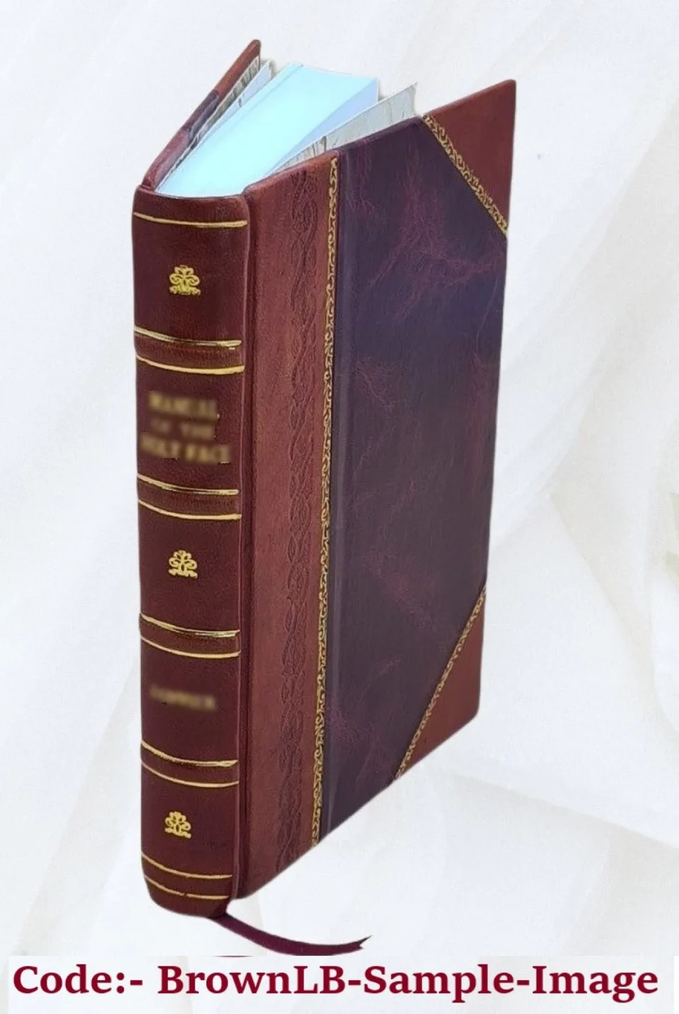 Baking Leak-Proof An introduction to the study of the Maya hieroglyphs / by Sylvanus Griswold Morley. 1915 [Leather Bound]