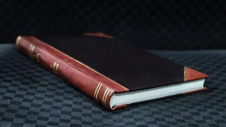Best-Selling Spisy sebrane / Gabriela Preissova. Volume 11 (1918) [Leatherbound]