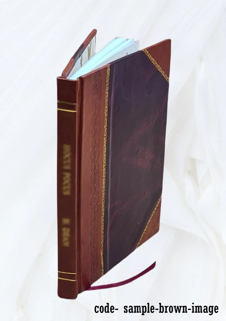 Bamboo Best-Selling Guide to Jersey, St. Helier's and the place of interest in the island. Edited by David Thomas Ansted. 1870 [Leather Bound]